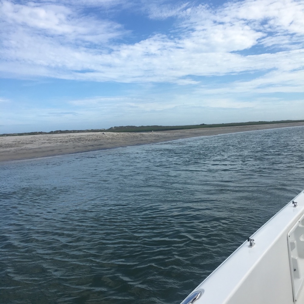 Meet your Posher, Shelle